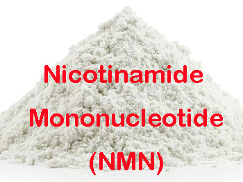 What Foods Contain Nicotinamide Mononucleotide?